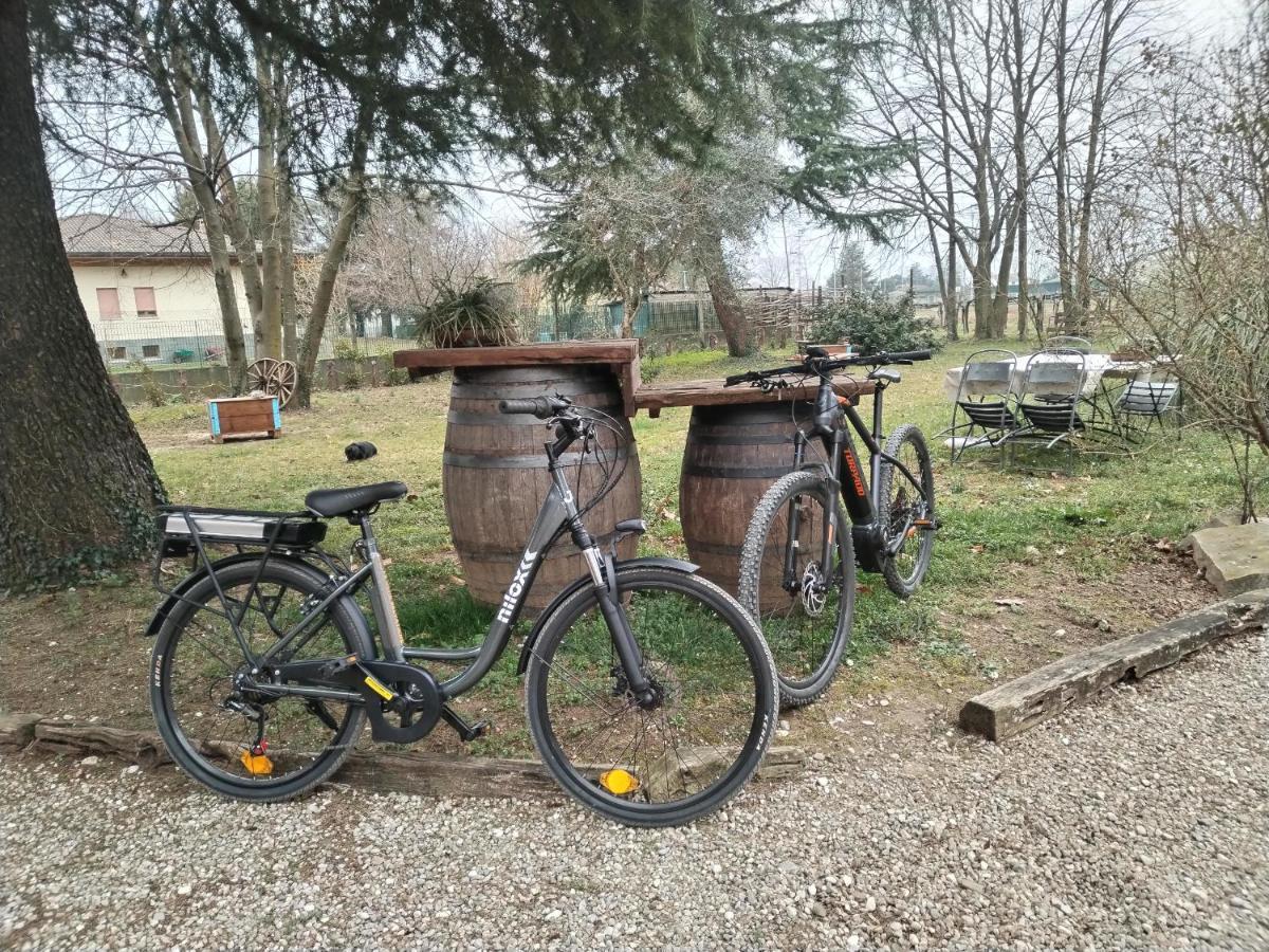 Agriturismo Le Oche Selvatiche Lauzacco Exteriér fotografie