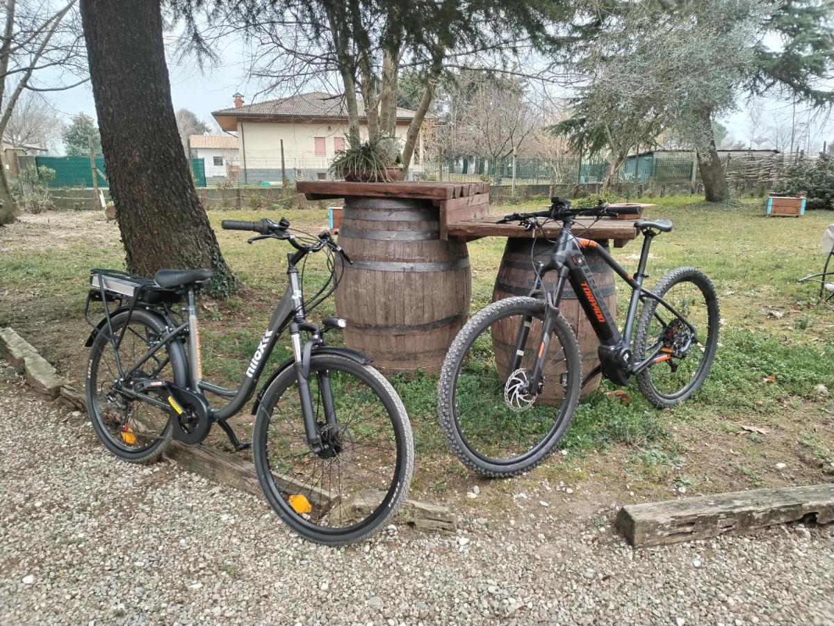 Agriturismo Le Oche Selvatiche Lauzacco Exteriér fotografie