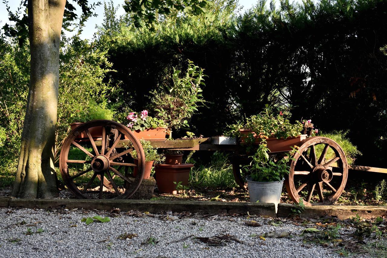 Agriturismo Le Oche Selvatiche Lauzacco Exteriér fotografie