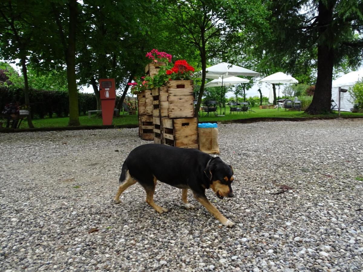 Agriturismo Le Oche Selvatiche Lauzacco Exteriér fotografie